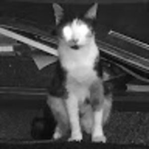 Meet your Posher, Isaiah